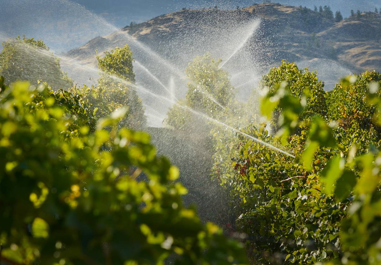 traitement de l'eau viticulture